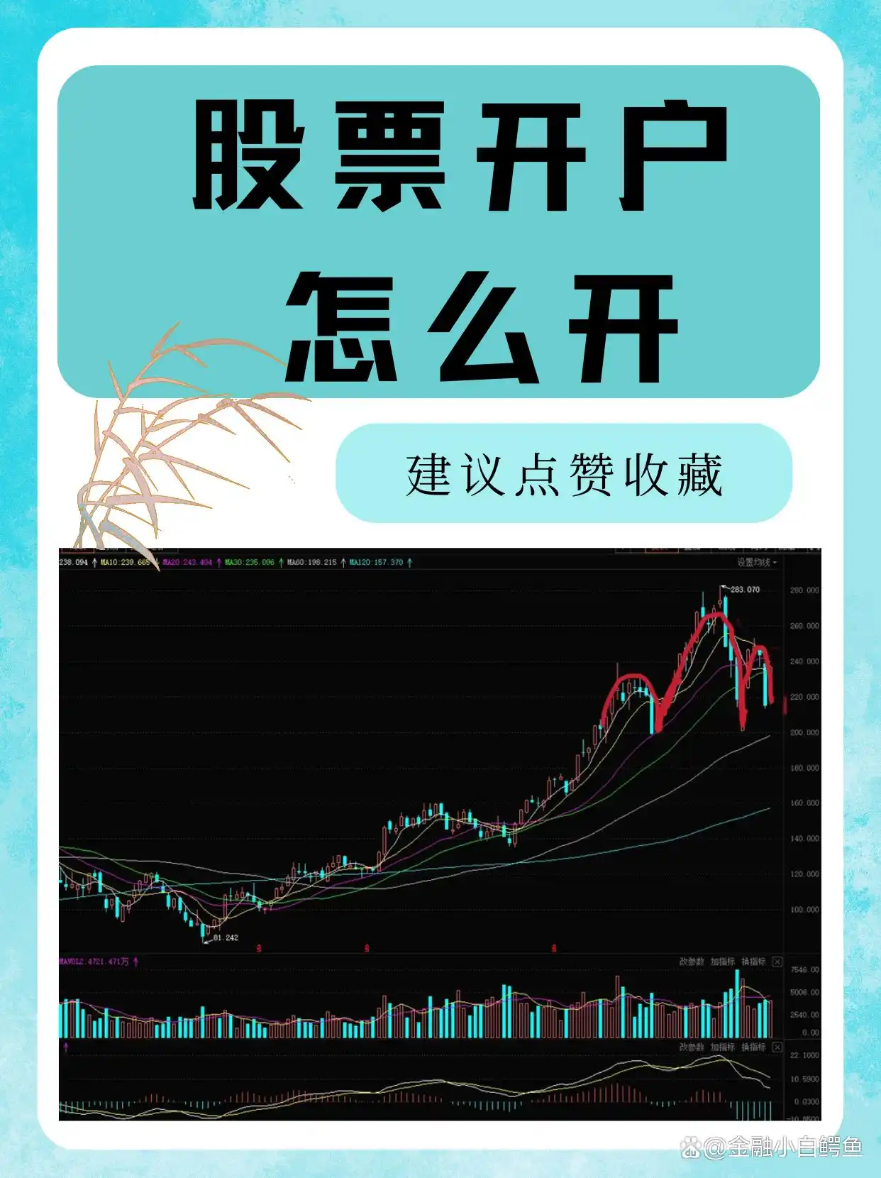 股票开户流程全解析，简单几步轻松拥有自己的股票账户