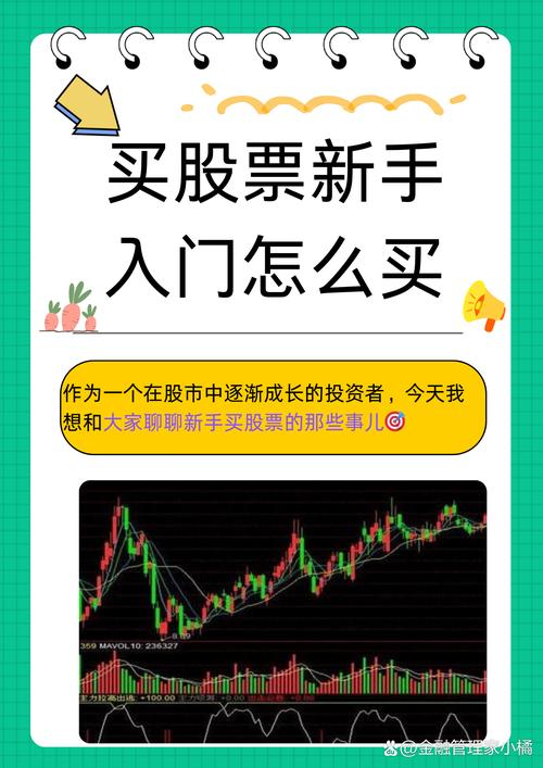 新手如何投资股票？五步指南带你轻松开启股市之旅