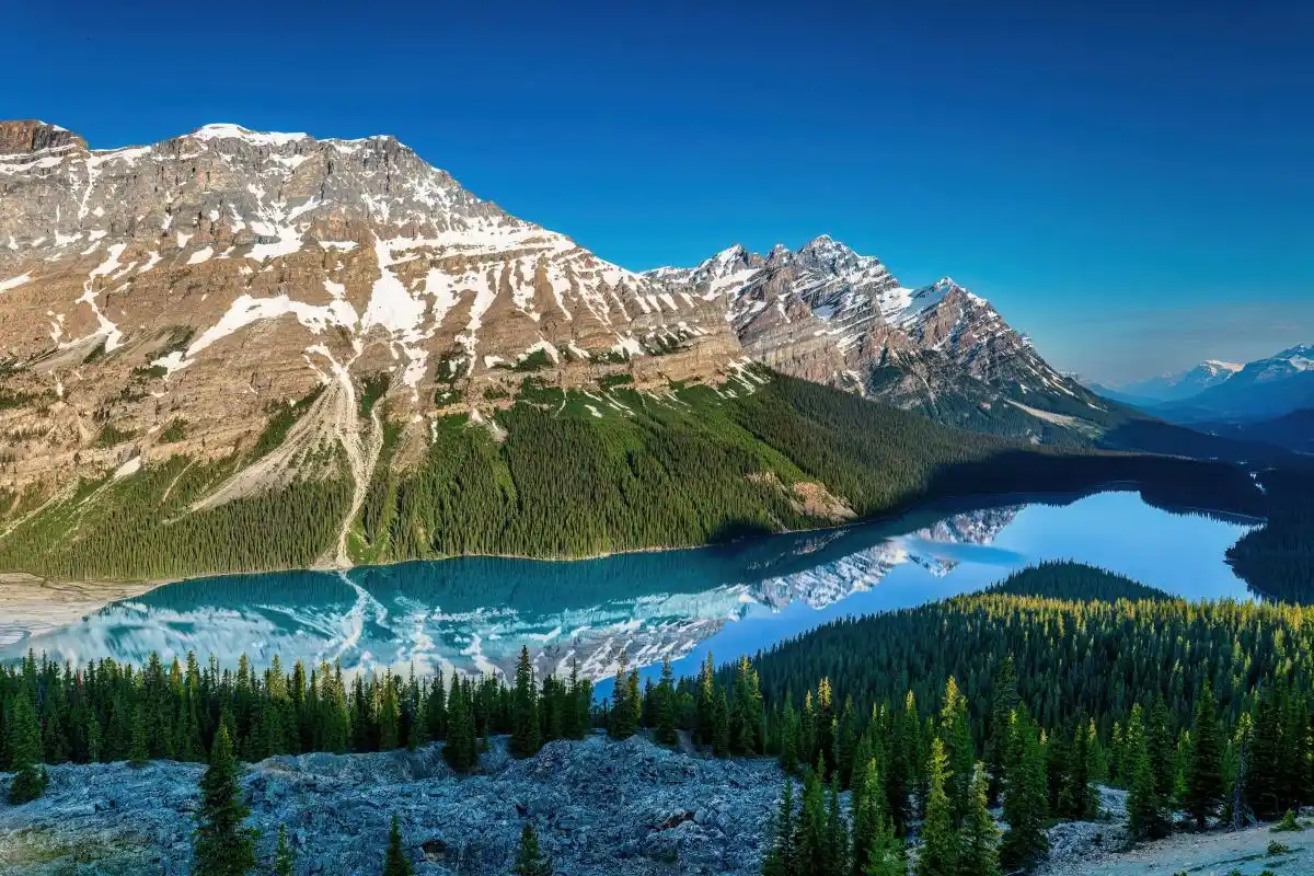 改变思维定式_沉锚效应交易_短线炒股的技巧