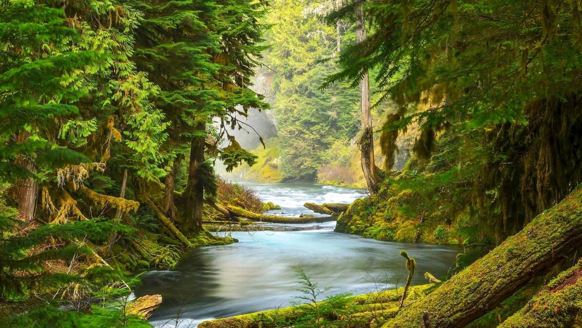 郑州股票配资公司_深圳股票配资公司_股票配资公司