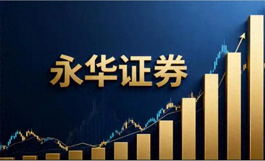 我国股票配资市场监管分界线及十家平台实盘交易保障解析