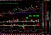 新手炒股入门必看！掌握这些知识，少走弯路少踩坑