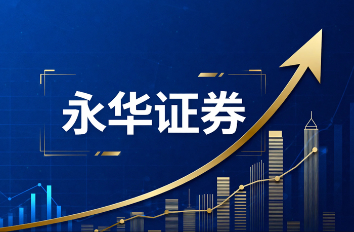 股票杠杆服务机构规则结构_风控参数数学化权责界定清晰化费用体系显性化_专业配资平台